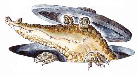 Krokodil schaut aus Gulli  © Caroline Ronnefeldt