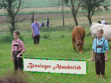 Bessinger Almabtrieb 2014