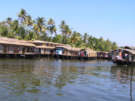 Circuit en Inde du sud... ou la découverte d'une autre Inde : faune, flore, paysage, architecture, culture vous séduiront. Ici, les houseboats d'Allepey dans le Kerala avec lesquels vous circulerez dans les Backwaters.