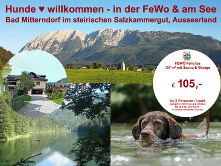 Ferienwohnung Felicitas in Bad Mitterndorf im Salzkammergut - Ausseereland