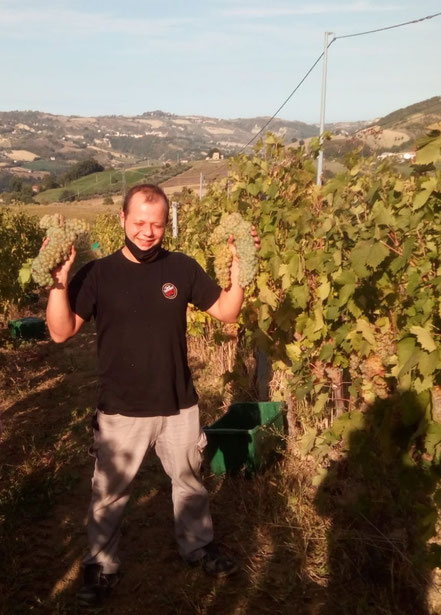 MAG Lifestyle Magazin Reisen Urlaub Italien Abruzzen Bisenti Abruzzen Wein Pontius Montonico Rebsorte 