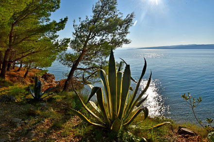 Impressionen an der dalmatinischen Adria © MAG Lifestyle- & Reisemagazin