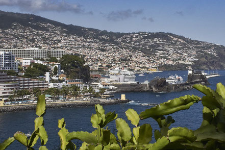 Reisen Urlaub Madeira Blumeninsel Funchal Hotels Altstadt Hafen