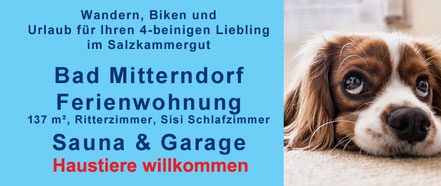 Ferienwohnung Felicitas - Tipp für Urlaub mit Hund © MAG Lifestyle Magazin