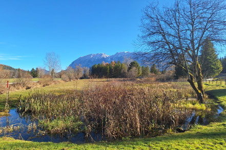 Hüttenzauber bei Uwe auf der Eselalm © MAG Lifestyle Magazin