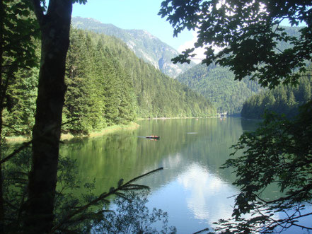 Salza Stausee, der hundefreundliche Natursee in  Bad Mitterndorf © MAG Lifestyle Magazin