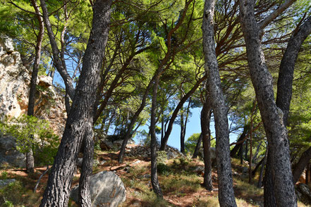 Impressionen an der dalmatinischen Adria © MAG Lifestyle- & Reisemagazin