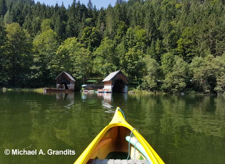 Salza Stausee, der hundefreundliche Natursee in  Bad Mitterndorf © MAG