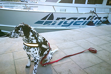 Ausflugsboot Angelina in Baska auf der Insel Krk in der Kvarner Bucht, Kroatien