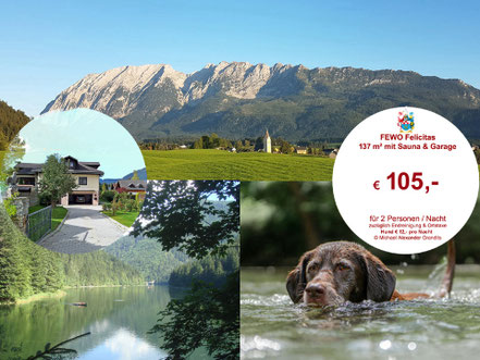Bad Mitterndorf, Urlaub im steirischen Salzkammergut, Ferienwohnung Felicitas - Hunde willkommenn