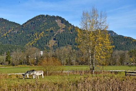 Hüttenzauber bei Uwe auf der Eselalm © MAG Lifestyle Magazin