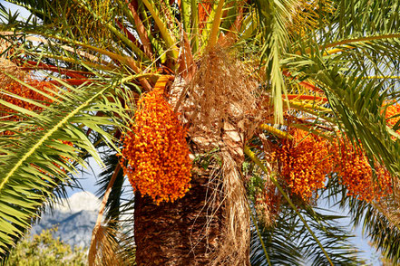 Impressionen an der dalmatinischen Adria © MAG Lifestyle- & Reisemagazin