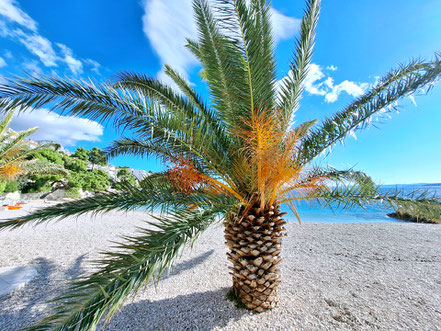 Impressionen an der dalmatinischen Adria © MAG Lifestyle- & Reisemagazin