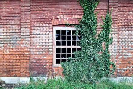 Bahnhof Varaždin Heizhaus 08.06.2025 © MAG Eisenbahnmagazin