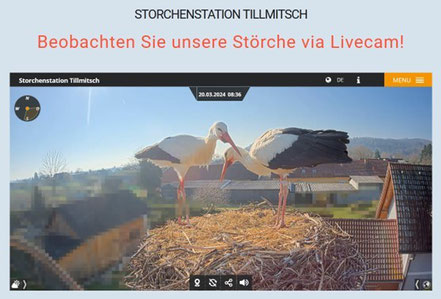 Die Storchenstation Tillmitsch bei Leibnitz, Südsteiermark - Österreich