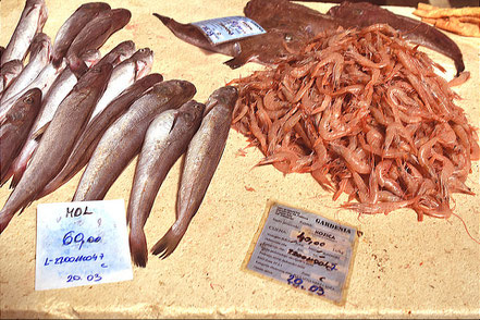 Der Fischmarkt in Split, die Peškarija, fangfrische Fische und Meeresfrüchte