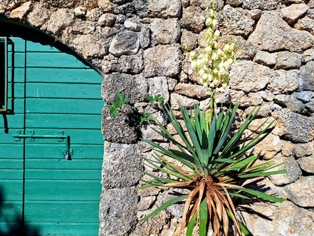 Impressionen an der dalmatinischen Adria © MAG Lifestyle- & Reisemagazin