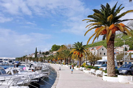 Palmen gesäumte Promenade von Baška Voda © MAG Lifestyle Magazin