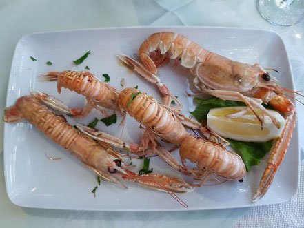 Scampi, Kaisergranat, Langustine