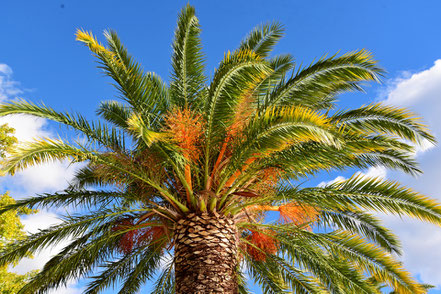 Impressionen an der dalmatinischen Adria © MAG Lifestyle- & Reisemagazin