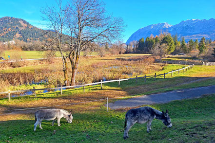 Hüttenzauber bei Uwe auf der Eselalm © MAG Lifestyle Magazin