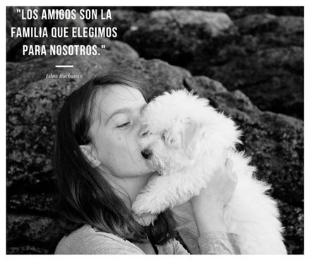 amigos de cuatro patas.