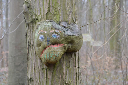 Foto: Ein Baumgeist, das ist ein Baum, der so gewachsen ist, dass an seinem Stamm mit Fantasie ein Gesicht zu erkennen ist. Bei diesem Geist wurde das Gesicht mit Wachskreiden zusätzlich nachgezeichnet.