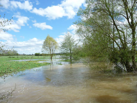 Inondations à Courtaoult, mai 2012