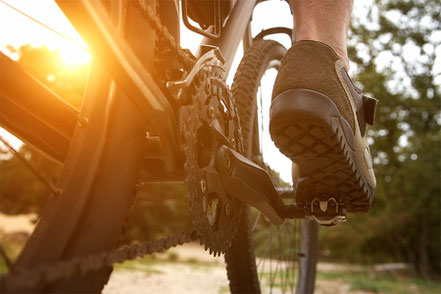 Pension Gästehaus Übernachtung Frühstück Rosenfeld Zollernalbkreis Hechingen Oberndorf Horb Balingen Albstadt Rottenburg Villingen-Schwenningen A81 Autobahn 81 Radtouren Fahrrad Wanderwege Wandergebiet Jakobsweg Albstadt