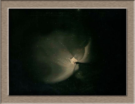 Orionnebel auf einer astronomischen Zeichnung von 1881 (Étienne Léopold Trouvelot)