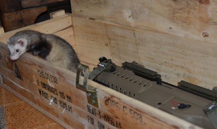 partie-airsoft-vaucluse-plan-de-dieu-84-orange-avignon-caprentras-cavaillon
