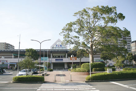 Usui's iconic camphor tree in front of Usui Station