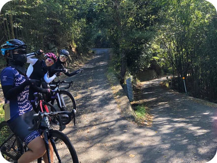 淡路島レンタサイクル　イベント