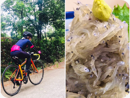 レンタサイクル　淡路島　グルメ