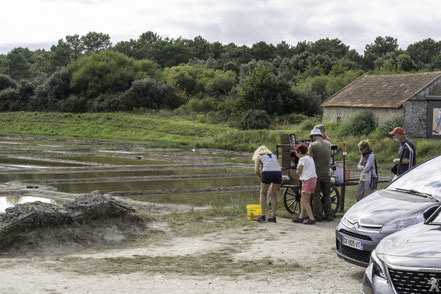 Bild: Salzseen an  der "Route des Marais" auf der Presqu´île de Guérande 