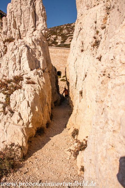 Bild: Wanderung an der Côte Bleue 