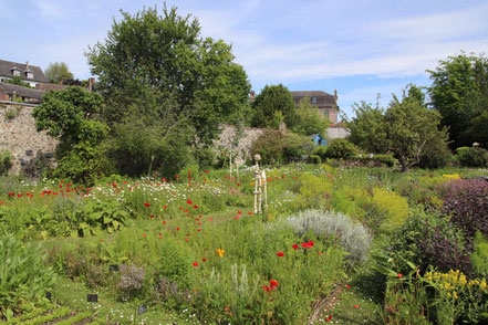Bild: Das Hebarium in Klosterrgarten der Abbaye et Jardins de Valloires