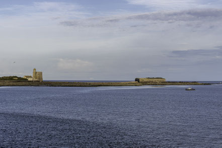 Bild: Vaubanbauten auf der Insel Tatihou bei Saint-Vaast-la-Hougue