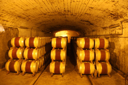 Bild: Château Mont Redon, Châteauneuf-du-Pape 