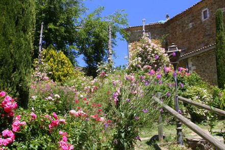 Bild: Jardin de l´Abbaye de Valsaintes, Simiane-la-Rotonde