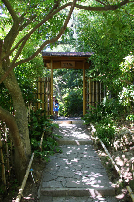 Bild:im japanischen Garten des Musée Ephrussi de Rothschild