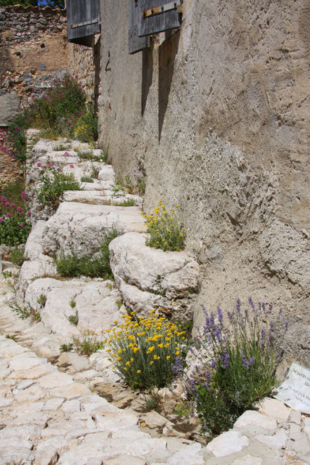 Bild: Garten im Schloss von Simiane-la-Rotonde