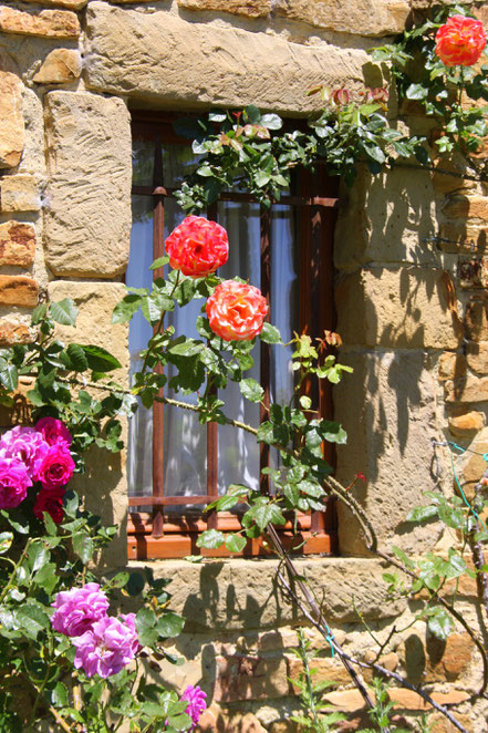 Bild: Jardin de l´Abbaye de Valsaintes, Simiane-la-Rotonde