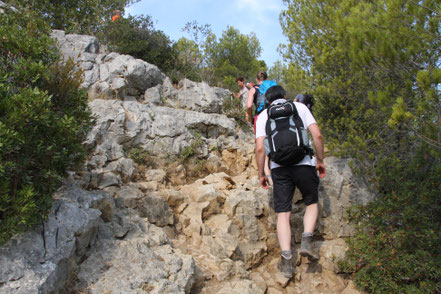 Bild: Wanderung zur Calanque d´en Vau