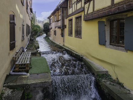 Bild: in der Rue Taufflieb bei einem Spaziergang durch Barr im Elsass 