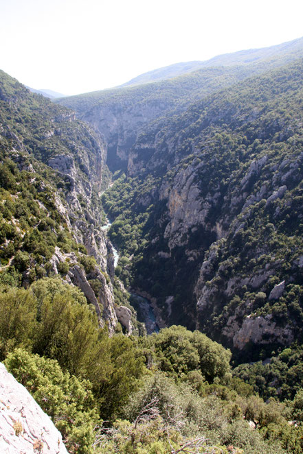 Bild: Gorges du Verdon vom Belvédére de Mayreste