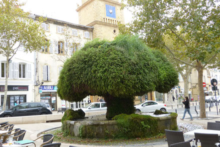 Bild: Brunnen in Salon de Provence