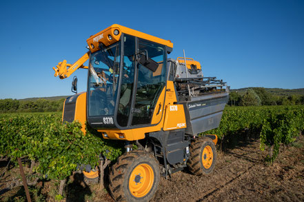 Bild: Traubenlese auf Vignobles Chasson-Château Blanc, Rossillon