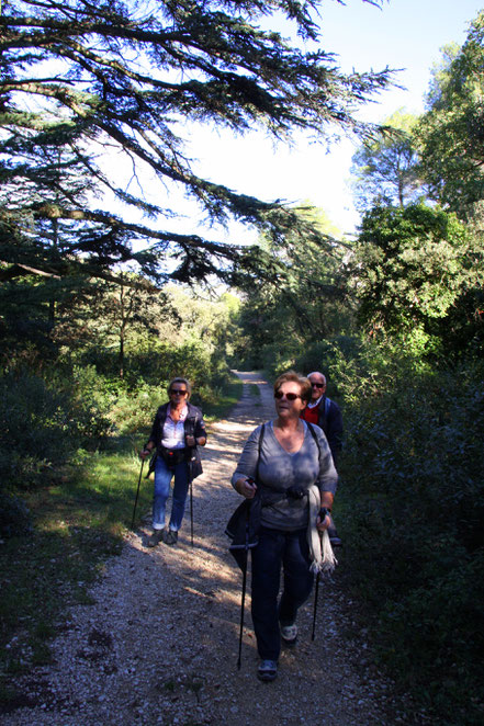 Bild: Wanderung bei Saint-Rémy-de-Provence