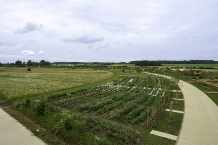 Bild: Saline Royale in Arc-et-Senans 